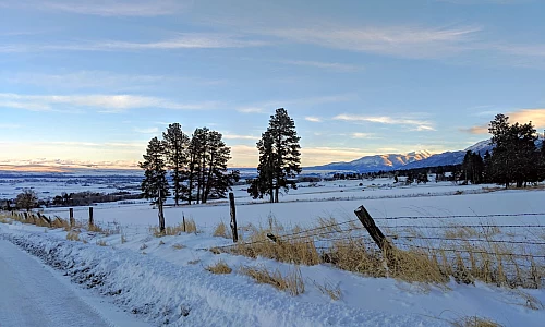 Underdog Rebuild Update 3/2019