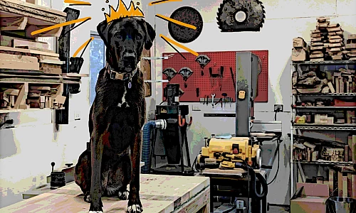 Underdog VIP Program